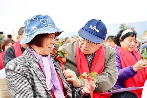 重阳节登高赏菊插茱萸