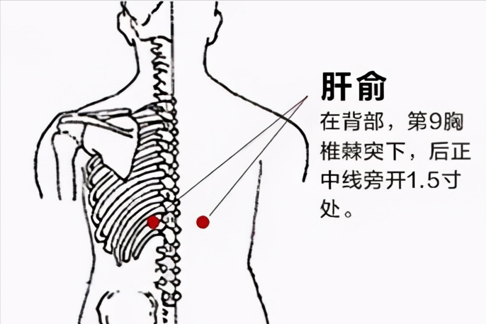 秋季养肝不只是从吃开始,给你一套肝脏按摩方法,学会放松肝脏