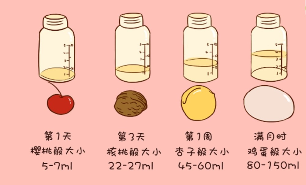 新生儿每顿该喝多少奶?了解宝宝的胃容量可知宝宝的奶量,别乱喂