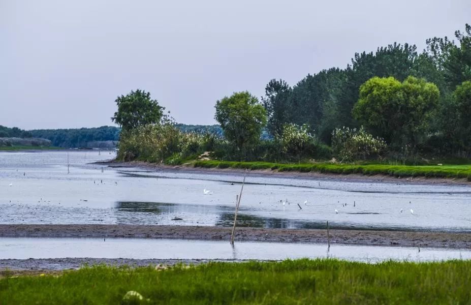 南京旅游绿水湾湿地公园