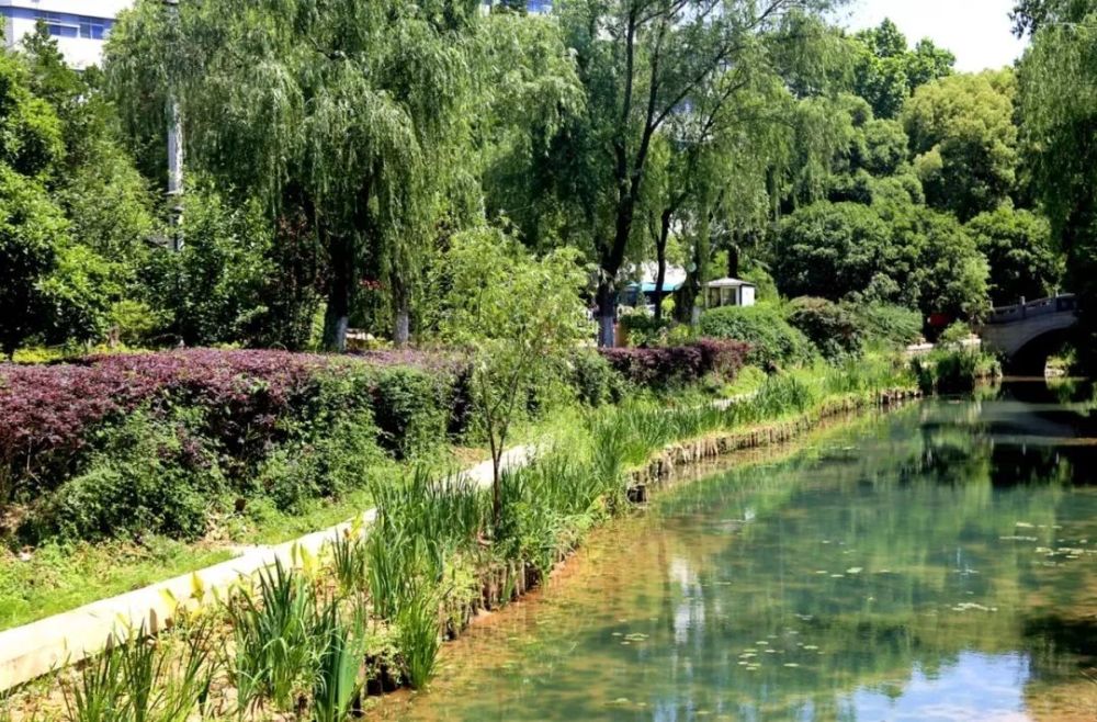 南京旅游:乌龙潭公园