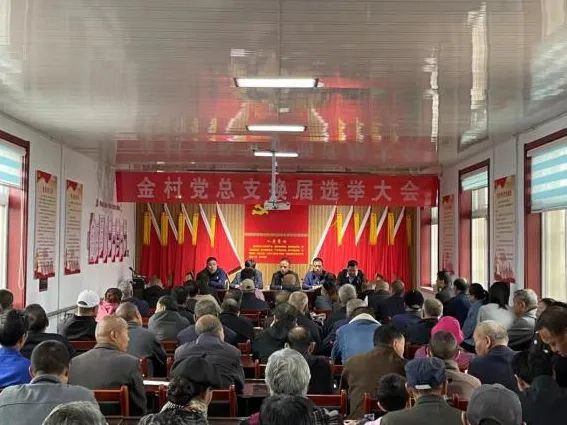 金村镇村(社区)党组织换届选举工作掠影