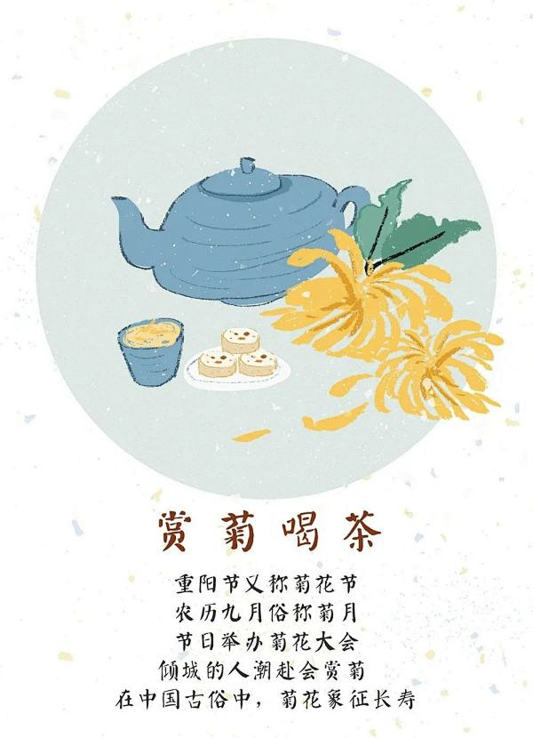 赏菊拼音 腾讯网
