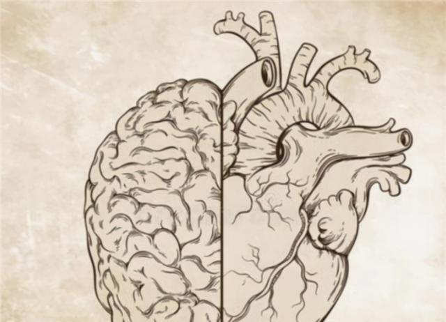他留下的心脏谜题,人类用了500年才