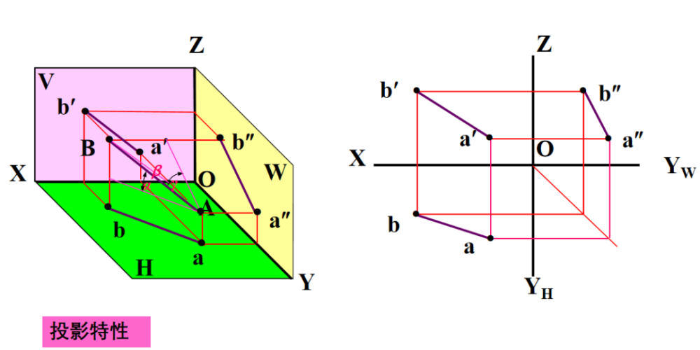 都是直线,且同时倾斜于三个投影面,即不反映实长,又不反映实际夹角