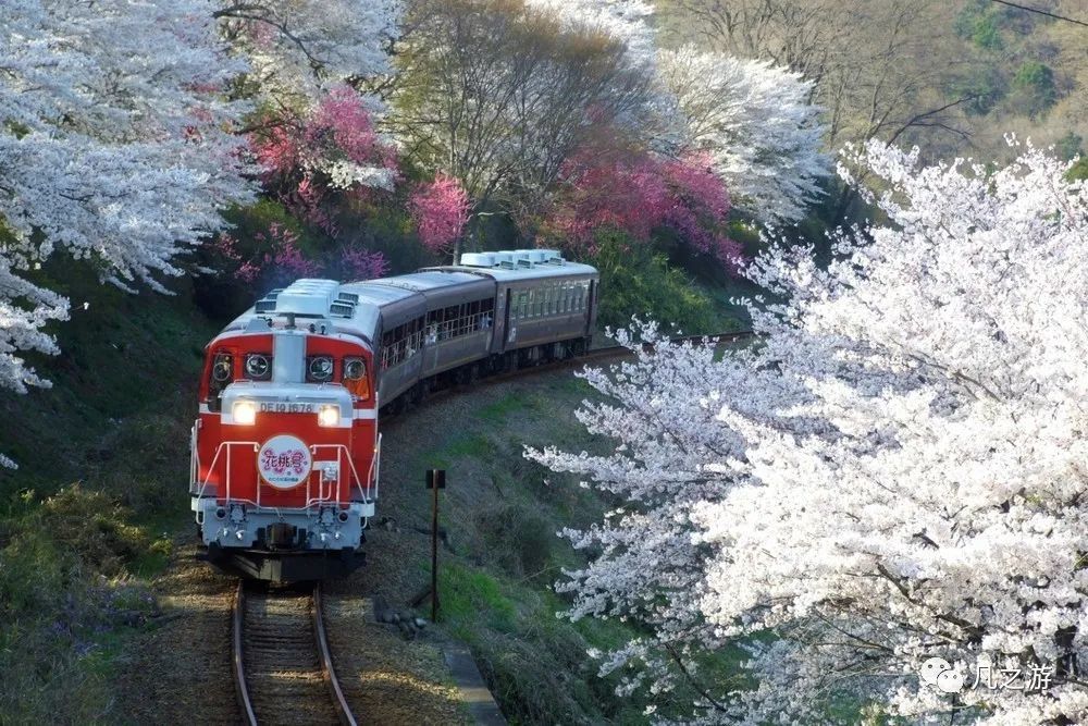 日本十大绝景铁路线路,你最喜欢哪条?