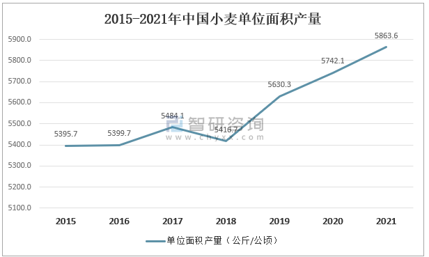 2021年中国小麦种植面积产量及小麦粉供需分析图