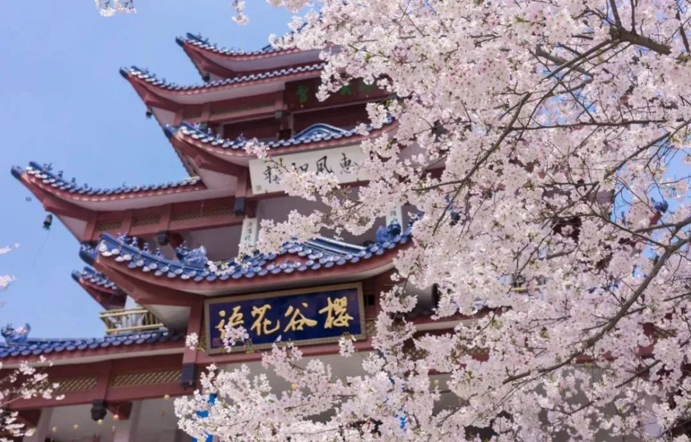 去无锡这些景点不能错过连本地人都说好玩