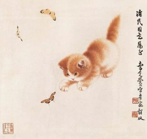 曹克家画猫,既萌又可爱