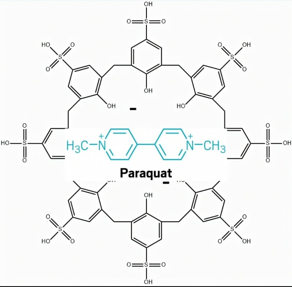 上图就是百草枯的化学结构,它中间的两个六边环虽然不是磺化杯芳烃中
