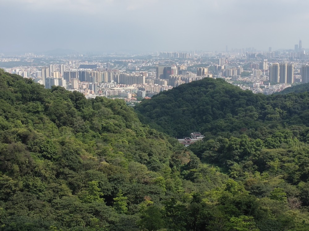 广州白云山看广州搭