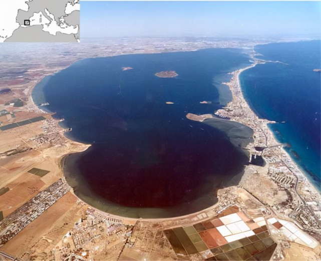 西班牙最大潟湖污染:因为中国人爱吃猪肉!