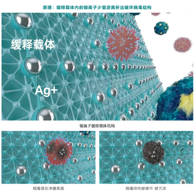 本届展会,立邦重点发布clearshield银离子缓释抗病毒技术.