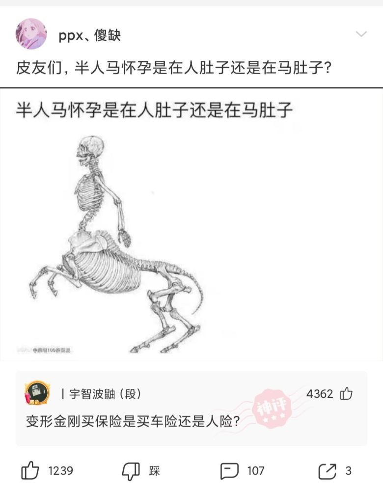 神回复:半人马怀孕是在人肚子还是在马肚子?
