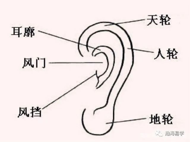 面相:耳相详论