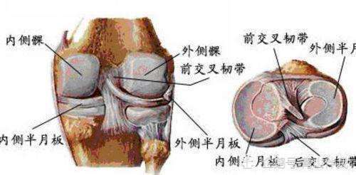 半月板损伤有积液的最好治疗