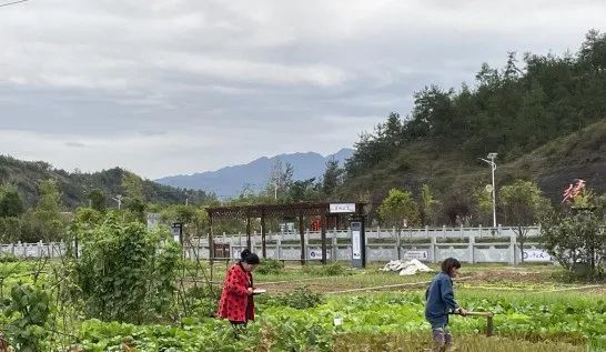 太平镇东坪村坐落在八百里伏牛山腹地,老界岭主峰—犄角尖脚下.