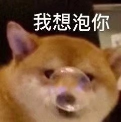 搞笑表情包我只是一只想窝在被窝里的小猫咪
