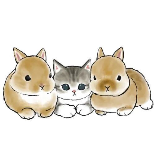 猫猫和兔兔凑在一起好可爱,直接击中我的心!