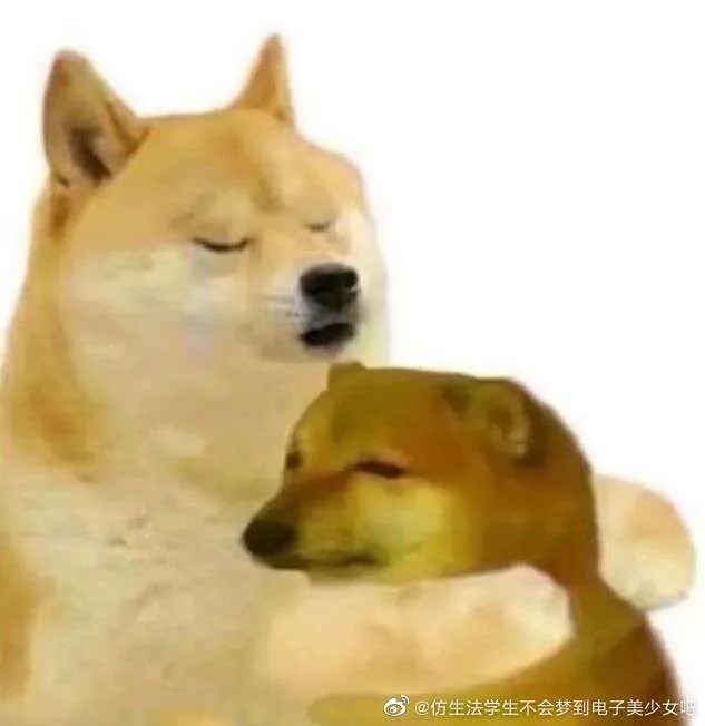 狗头宇宙十二生肖怪图!哈哈哈我这奇怪的笑点!