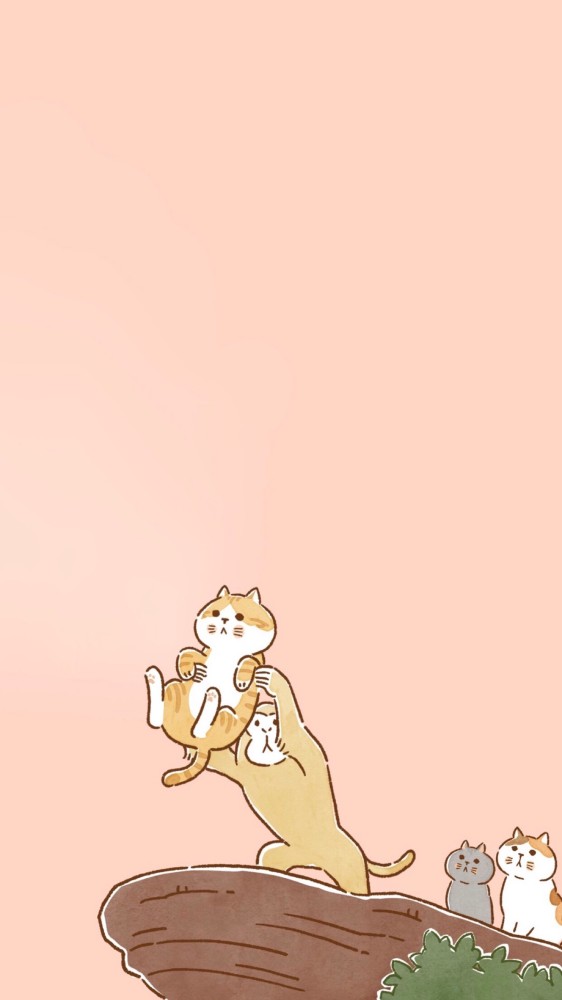简约壁纸|猫咪真是太可爱了