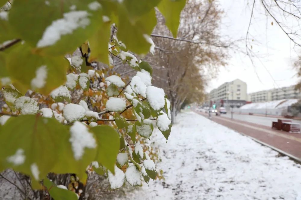 2021初雪,许你一场连池梦!