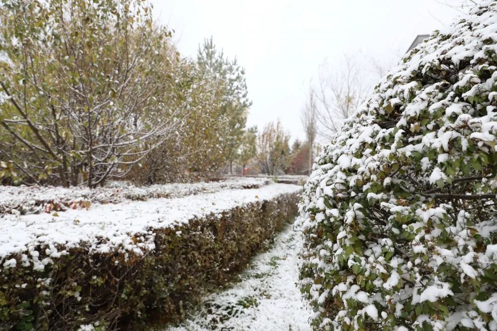 2021初雪,许你一场连池梦!