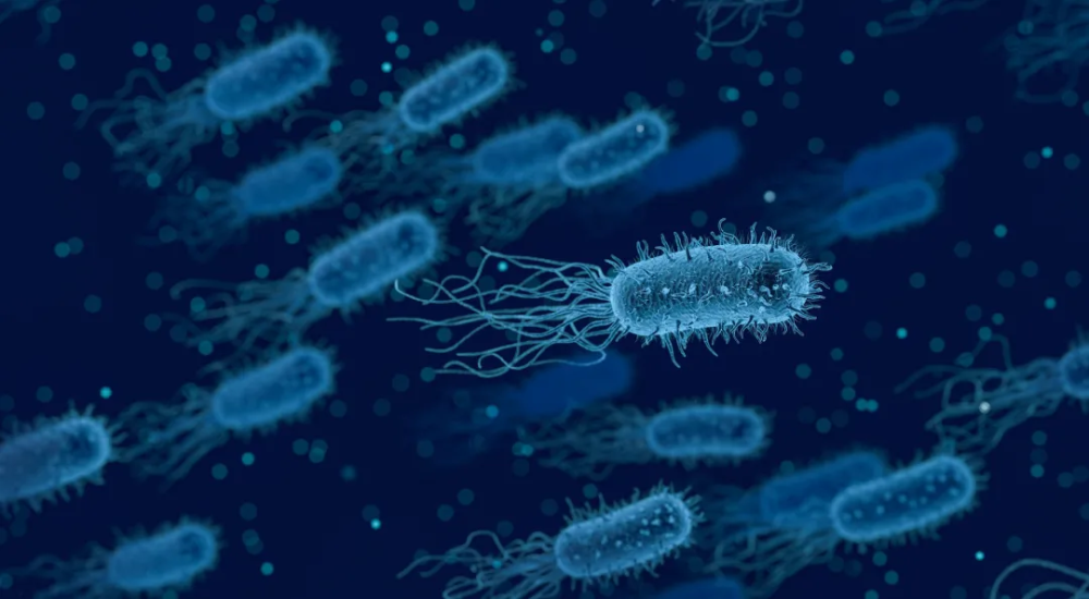 1000