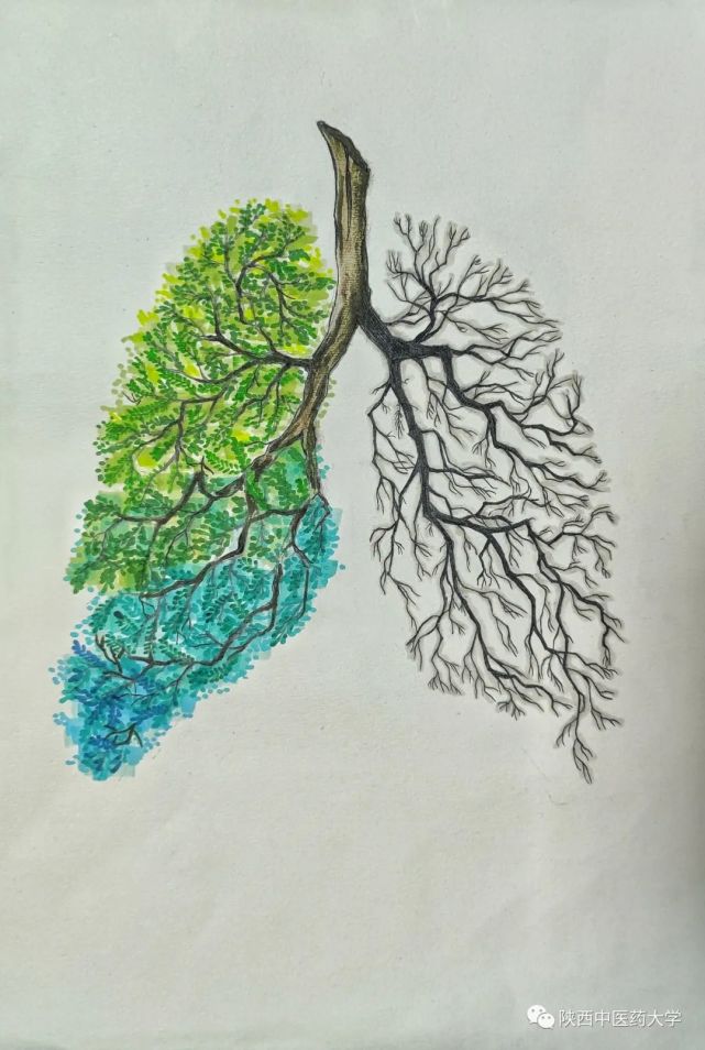 第三届"思邈杯"医药绘画大赛网络投票开始啦
