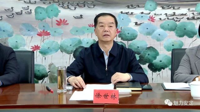 市人大常委会党组书记,主任徐世林带队督办市四届人大八次会议第37号