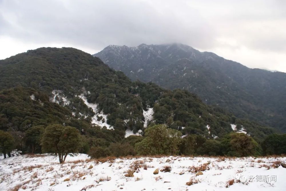 云南永德大雪山国家级自然保护区生物多样性保护成效明显