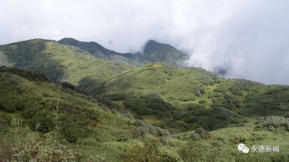 云南永德大雪山国家级自然保护区生物多样性保护成效明显