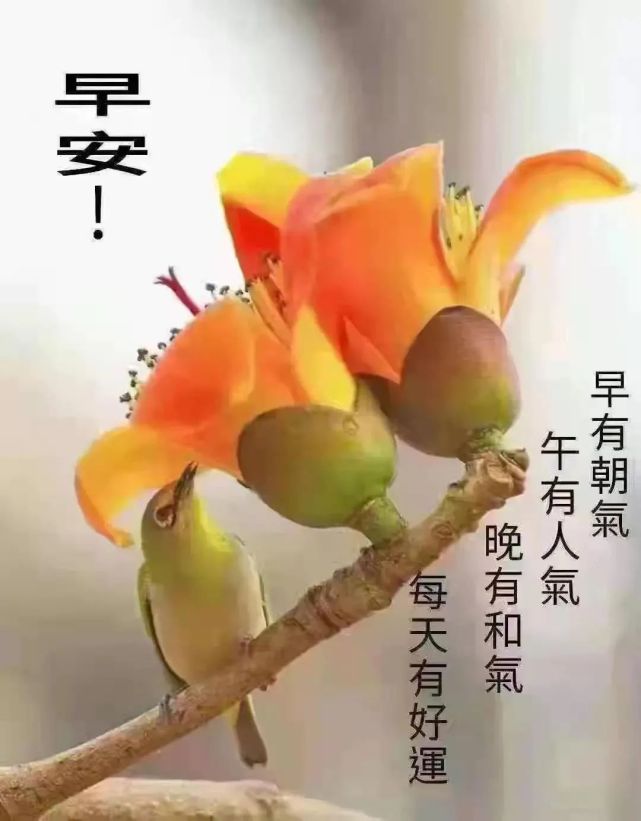 早上好!9,我会记住,我们共有的欢乐,我会守护,我们回忆的拼图.