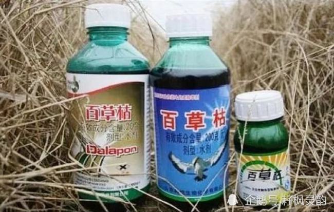 百草枯: