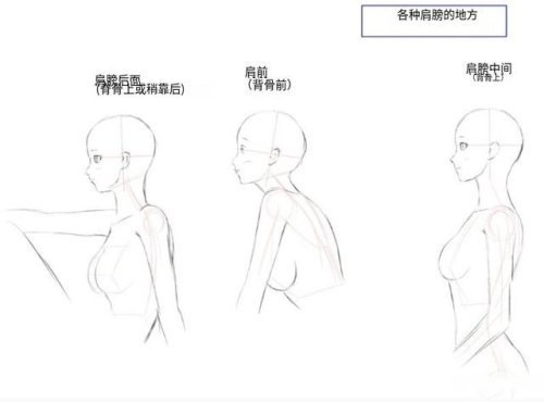 侧面七头身人物怎么画侧面的头部和身体的基础描绘方法