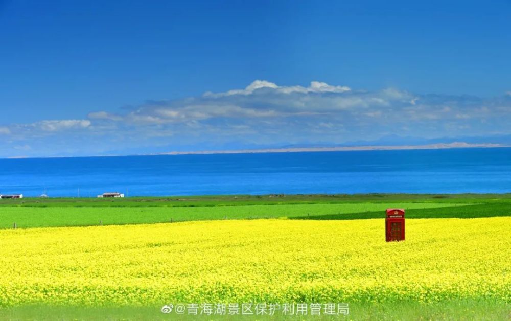 【卫星x湖泊】青海湖"鸟类天堂"