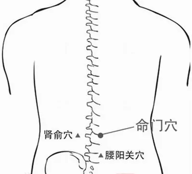肾阳不足怎么办专家教你刺激这4个穴位轻松远离肾阳虚