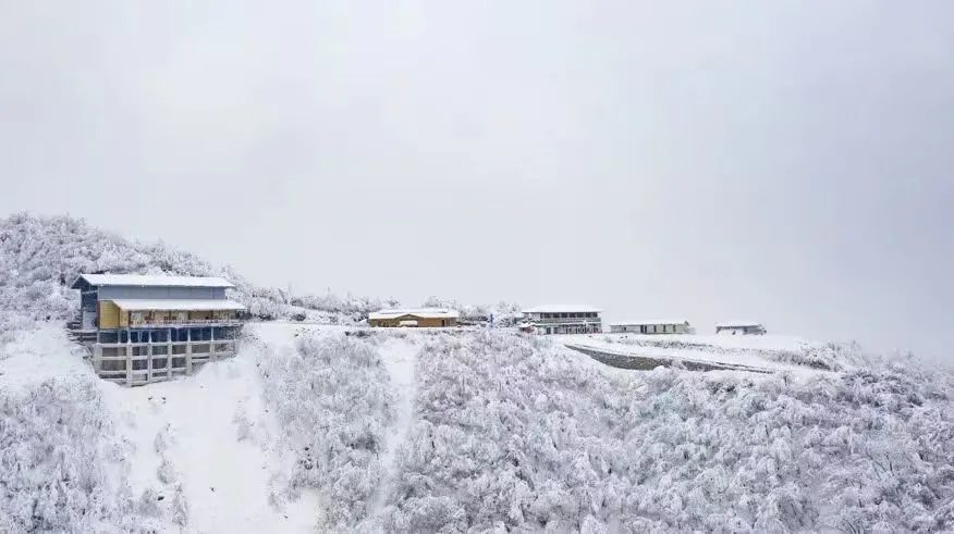 当大家还在感受秋意的凉爽时 今天一早 南江光雾山迎来春季第一场
