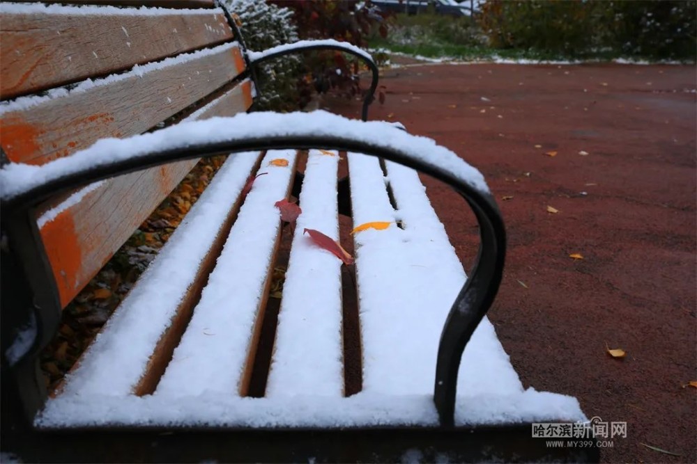 哈尔滨下雪了!强冷空气来袭,黑龙江最低气温低于0℃,阵风7～8级