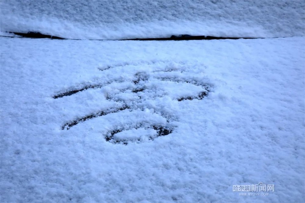 哈尔滨下雪了!强冷空气来袭,黑龙江最低气温低于0℃,阵风7～8级