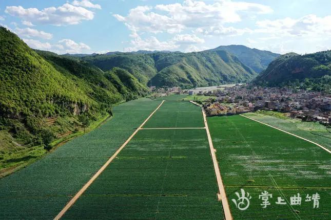 总投资2.1亿,2021年宣威市将建成高标准农田14万亩