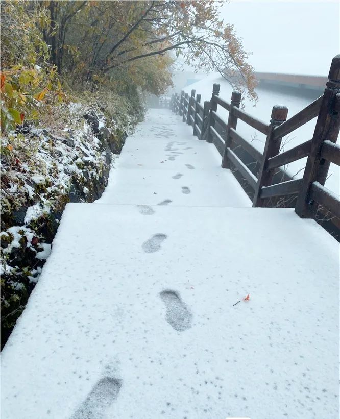 快看!巴中光雾山今秋的第一场雪来了