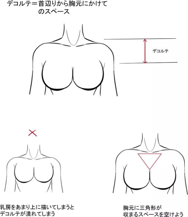 如何画乳房!