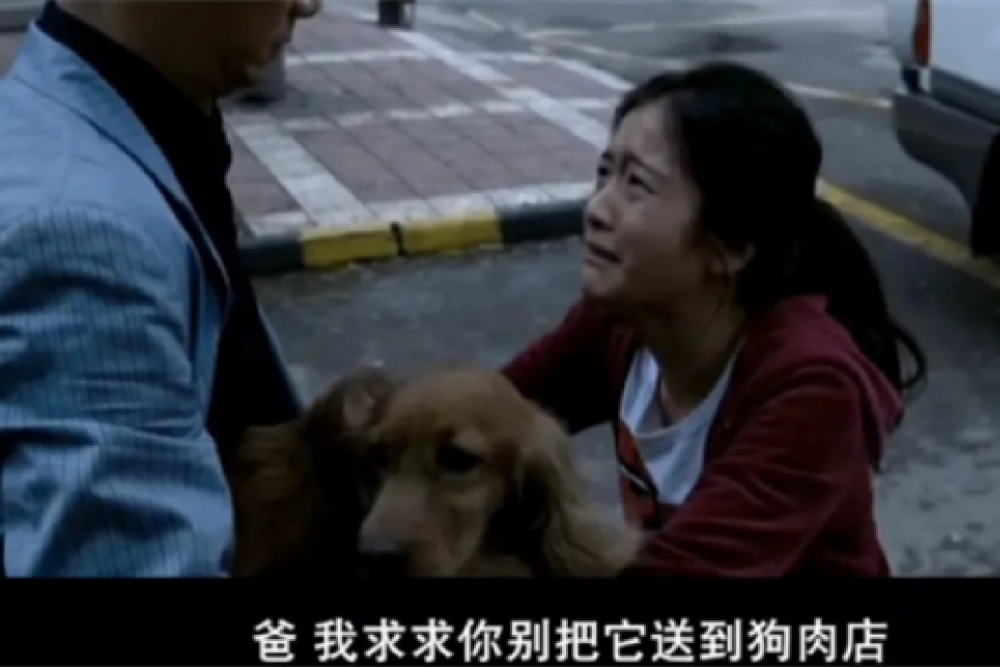 上海一八旬老太擅闯鱼塘，被2条恶霸犬咬死，谁之过？