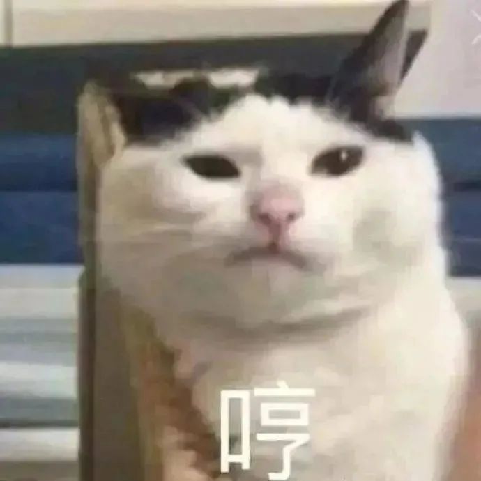 表情包来给生活比个耶