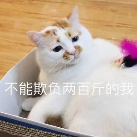 表情包来给生活比个耶