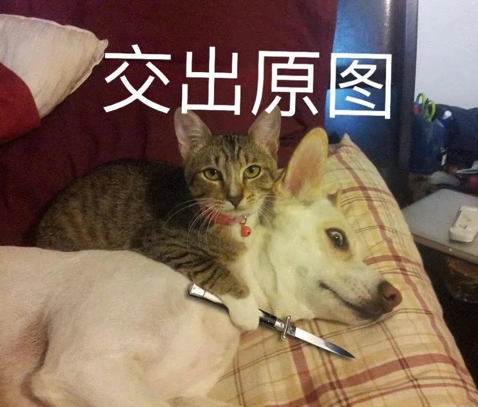 微信沙雕表情包:交出原图