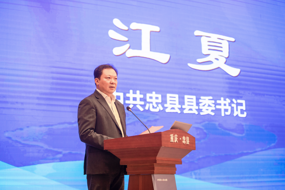 文博大咖齐聚汉阙之乡"与汉阙对话"!忠县成功举办汉阙文化研讨会