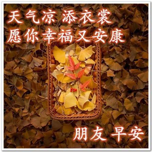 早安,周末!