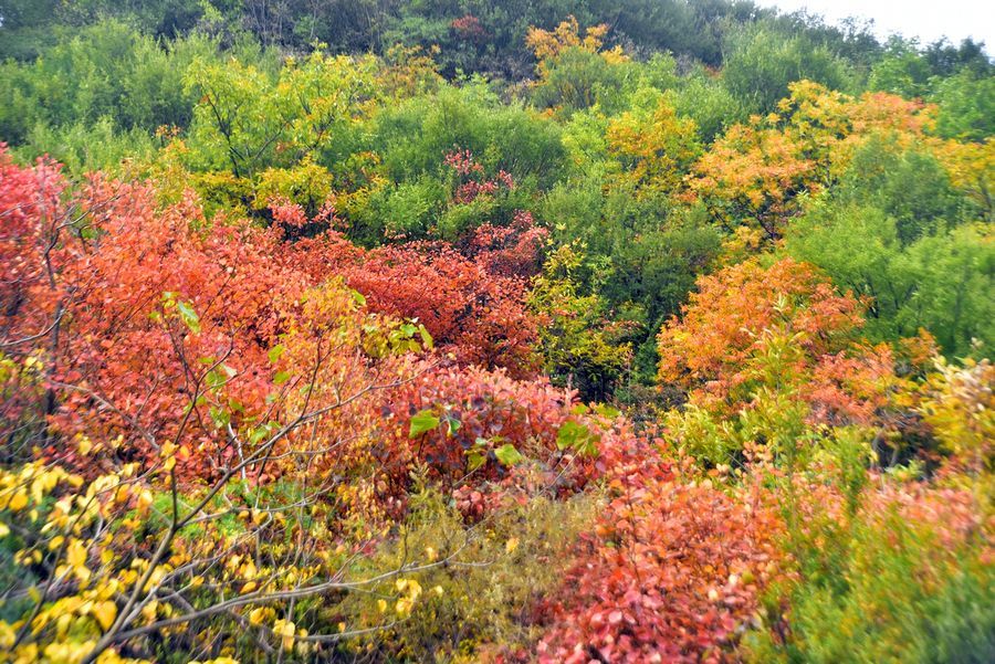 浙江秋季旅游景点推荐 金华九峰山旅游攻略 低音号免费语音导游